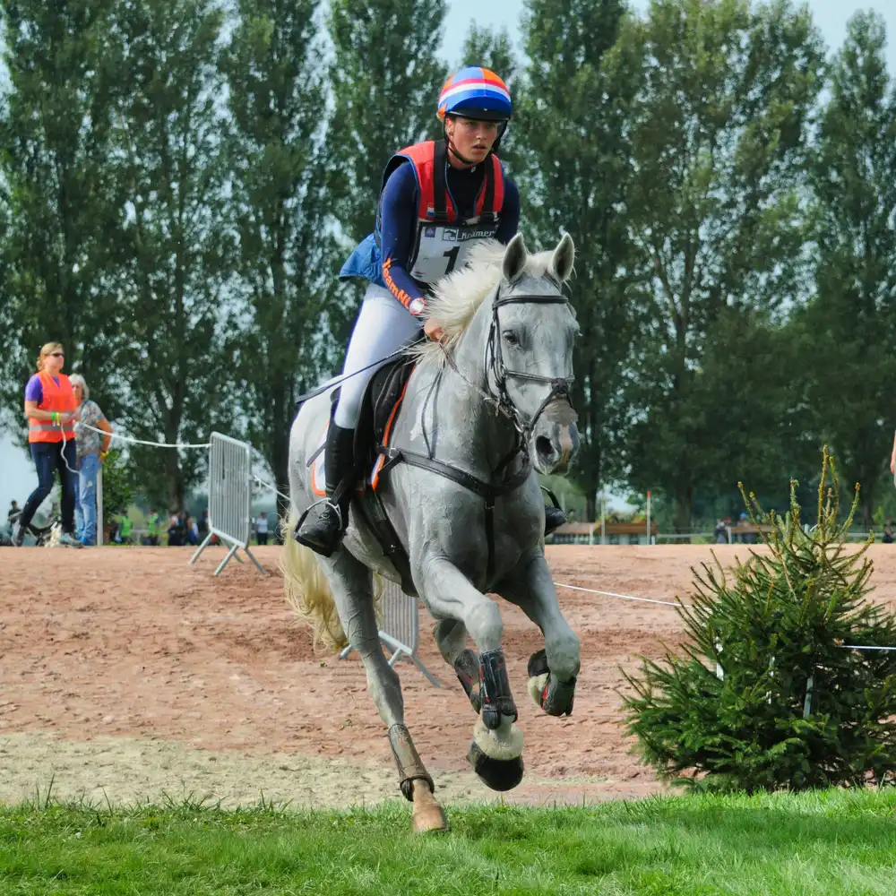 performance_equitation_cut_optim