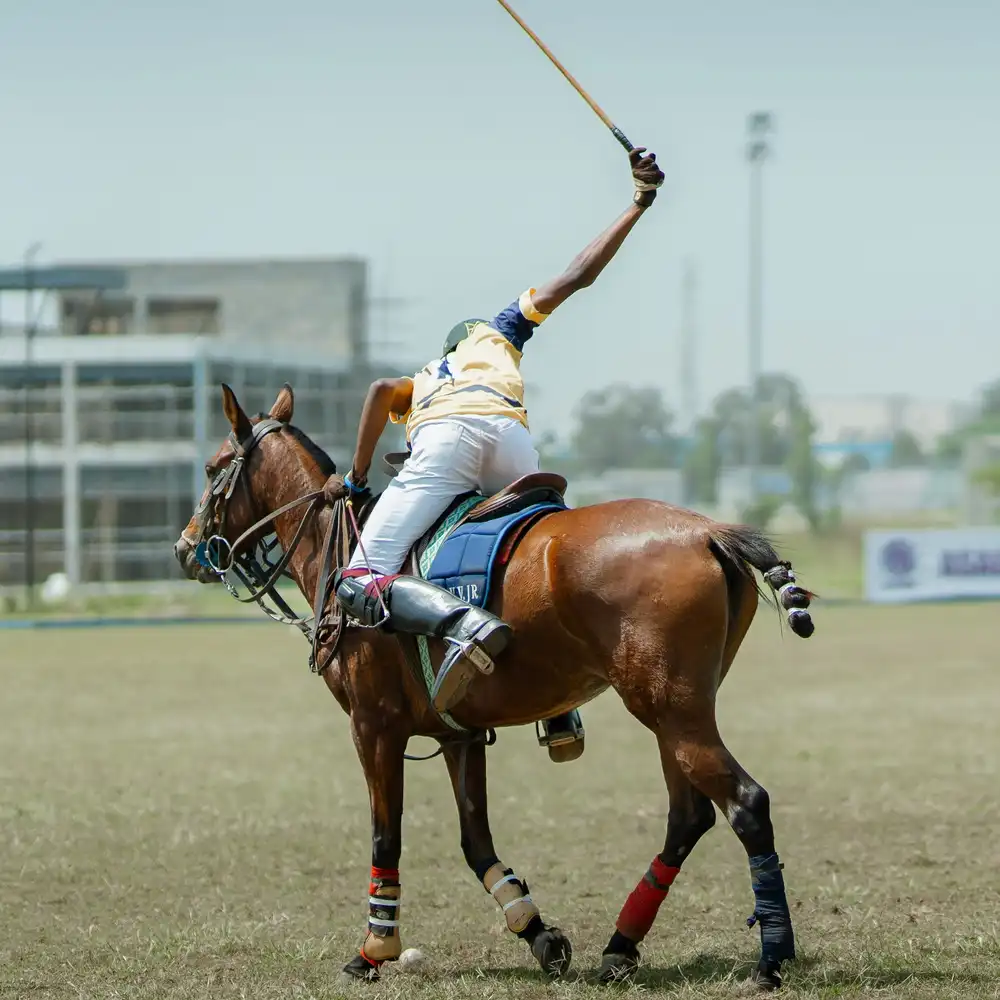 performance_polo_cut_optim